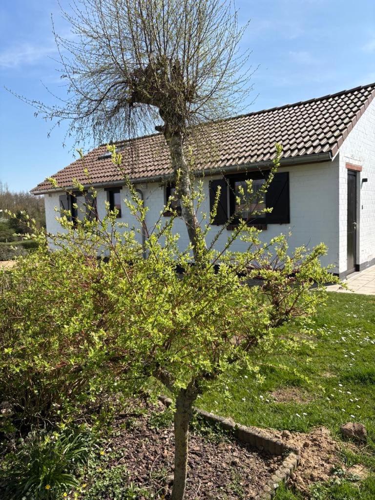 Mijn Kleinhof Villa Westouter Exterior foto